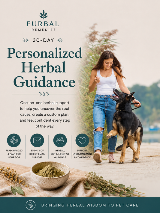 Digestive Intolerance: 30-Day Personalized Herbal Guidance