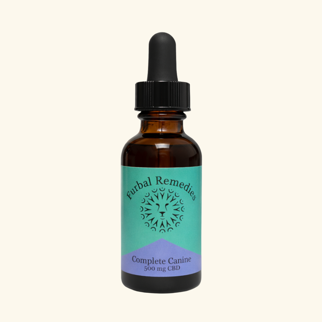 Dense Nutrition + CBD - Overall Wellness — Complete Canine+ CBD Extract for Dogs | Herbal Multivitamin & Whole-Body Support
