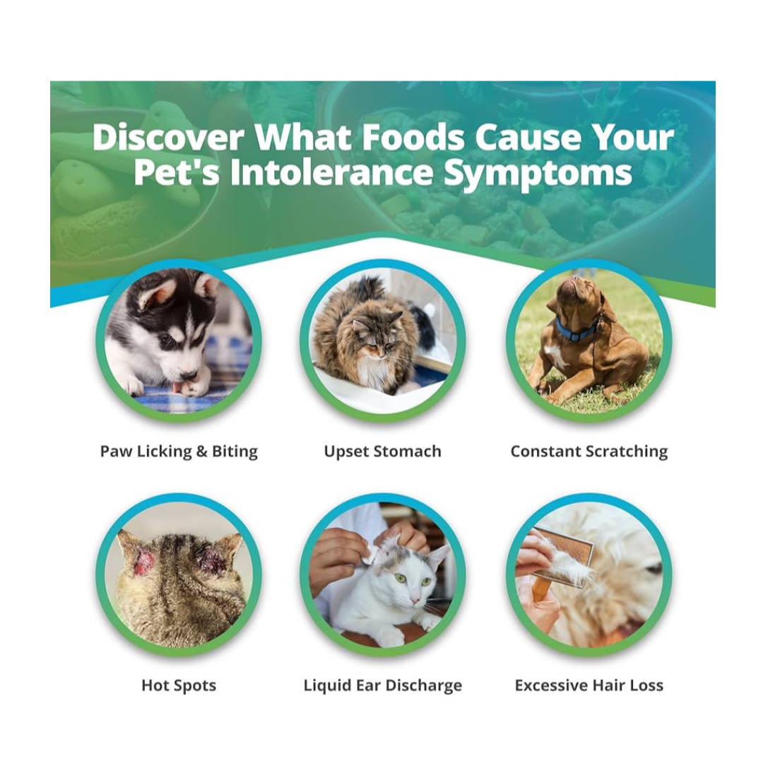 5-Strands - Pet Food Intolerance Test