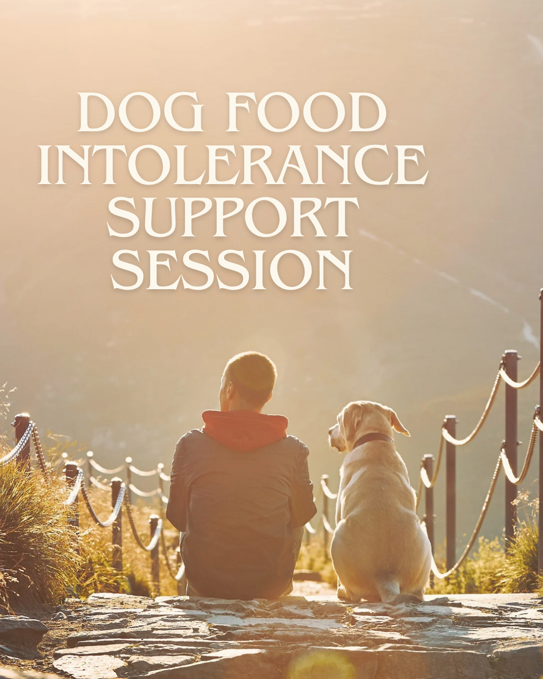 Dog Food Intolerance Support Sessions - Revolutionized Canine herbalism consults