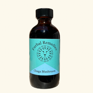 Mushrooms - Chaga Mushroom Extract - Canine & Feline Supplement