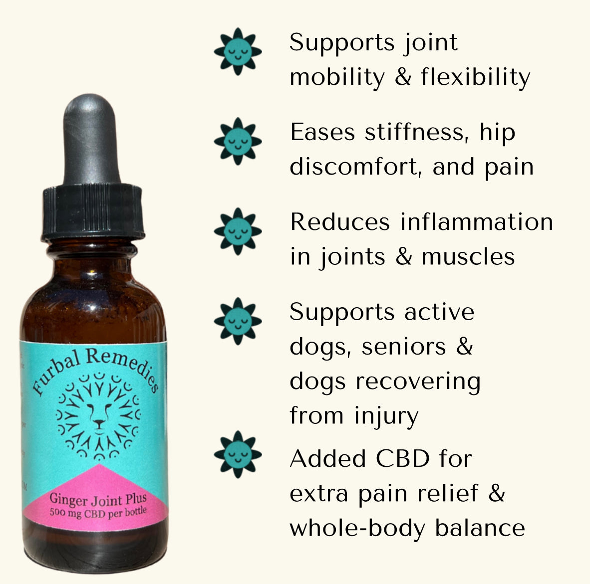 Joint Support — Ginger Joint Plus+ CBD Extract for Dogs & Cats