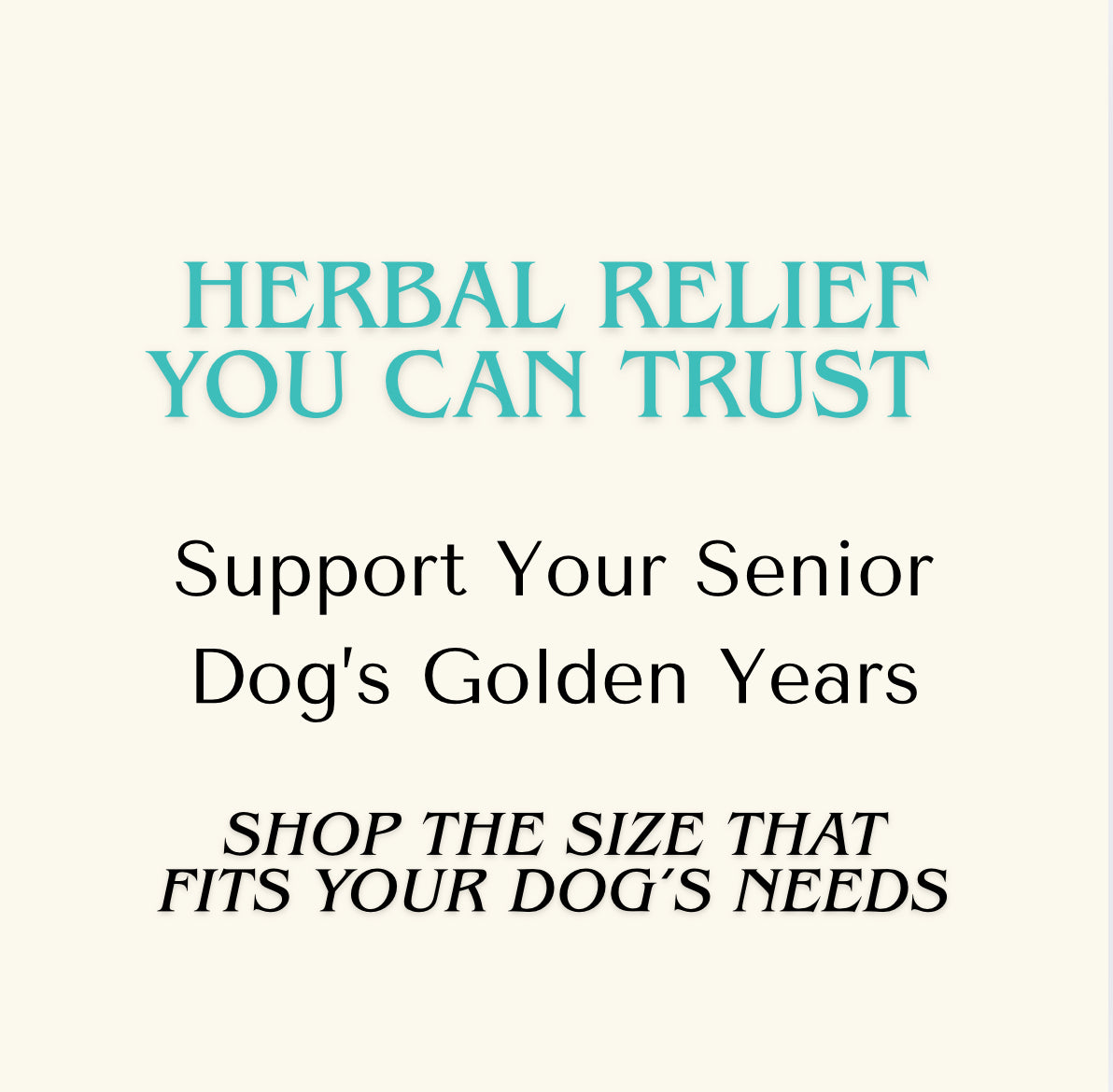 Senior Care — Senior Support Extract for Dogs & Cats