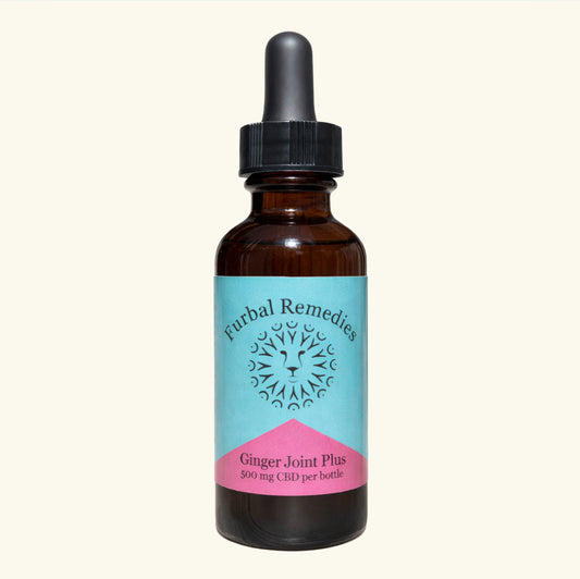 Joint Support — Ginger Joint Plus+ CBD Extract for Dogs & Cats