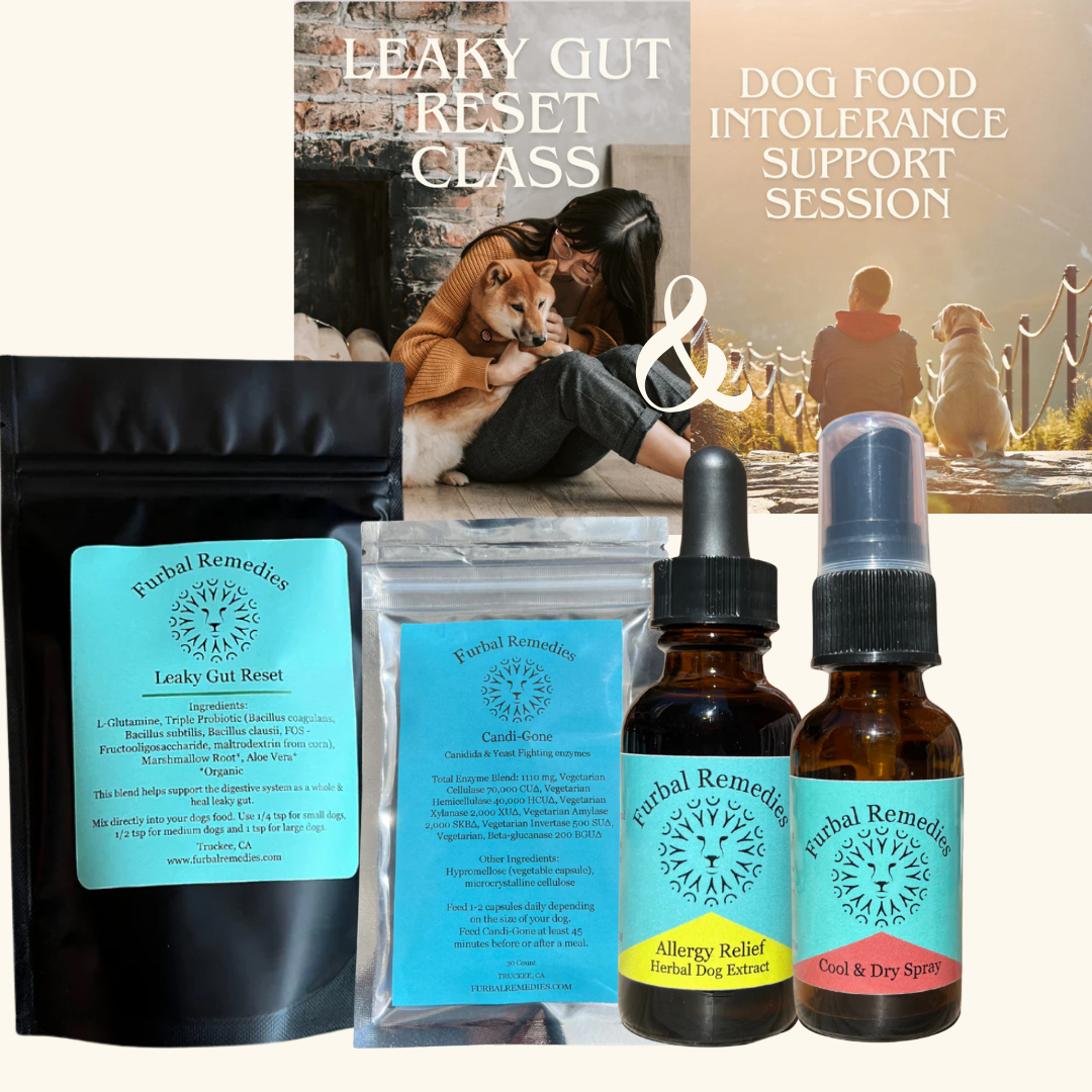Black Friday Leaky Gut Reset Bundle + Course – Heal Your Dog’s Skin, Ear & Digestive Issues