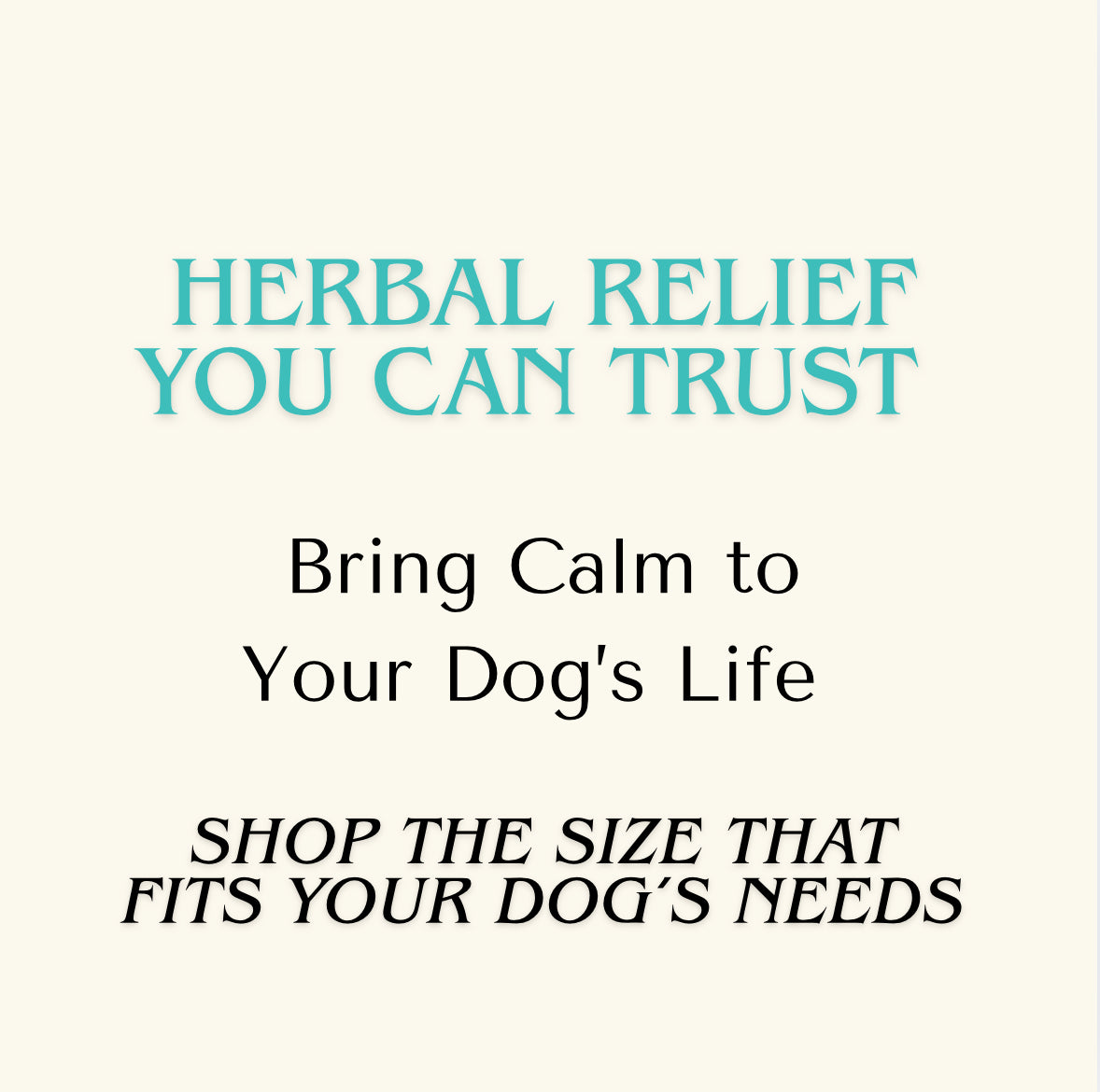 Anxiety — Fast Relax Extract for Dogs | Herbal Dog Anxiety Relief