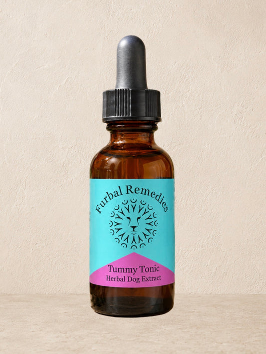 Digestive Health — Tummy Tonic Extract for Dogs & Cats | Herbal Gut Soother