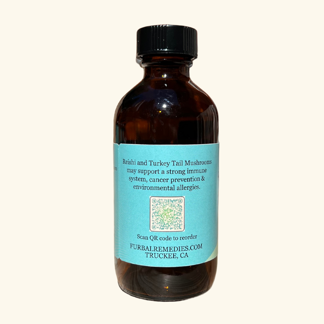 Mushroom Immunity Extract - Canine & Feline Supplement - Wholesale Only