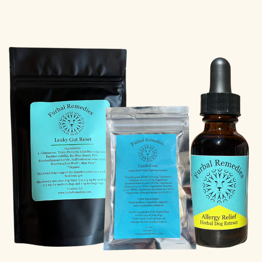 Black Friday Leaky Gut Reset Bundle + Course – Heal Your Dog’s Skin, Ear & Digestive Issues