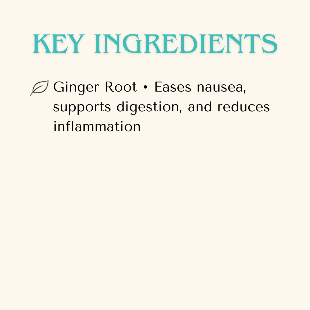 Digestive Health — Tummy Tonic Extract for Dogs & Cats | Herbal Gut Soother