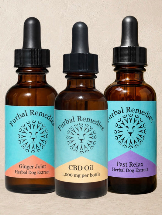 Post Injury / Surgery - Recovery Triad Bundle