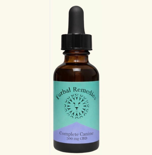Dense Nutrition + CBD - Overall Wellness — Complete Canine+ CBD Extract for Dogs | Herbal Multivitamin & Whole-Body Support