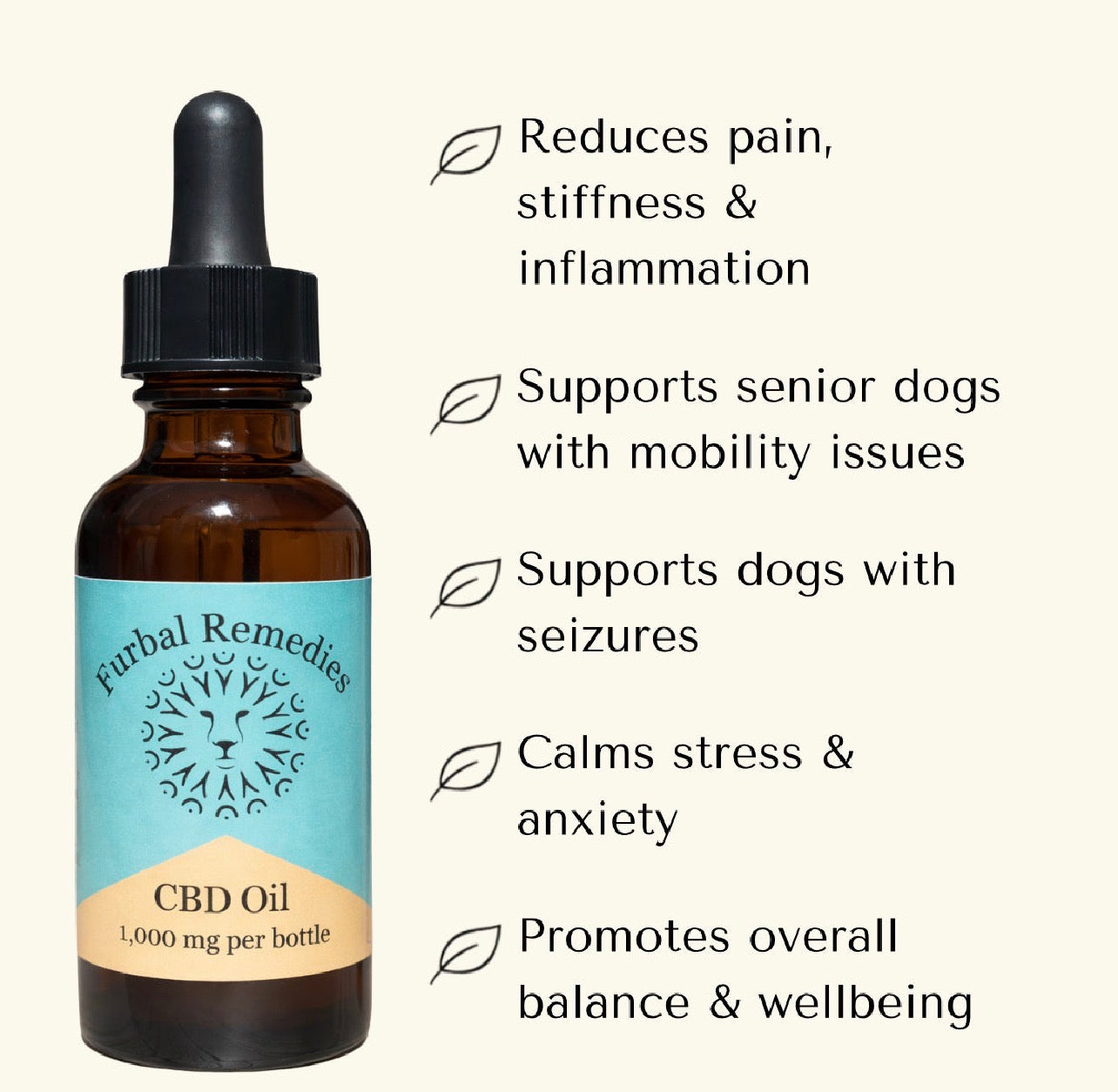 Post Injury / Surgery - Recovery Triad Bundle