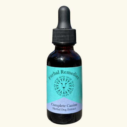 Dense Nutrition - Overall Wellness — Complete Canine Extract for Dogs | Herbal Multivitamin & Whole-Body Support