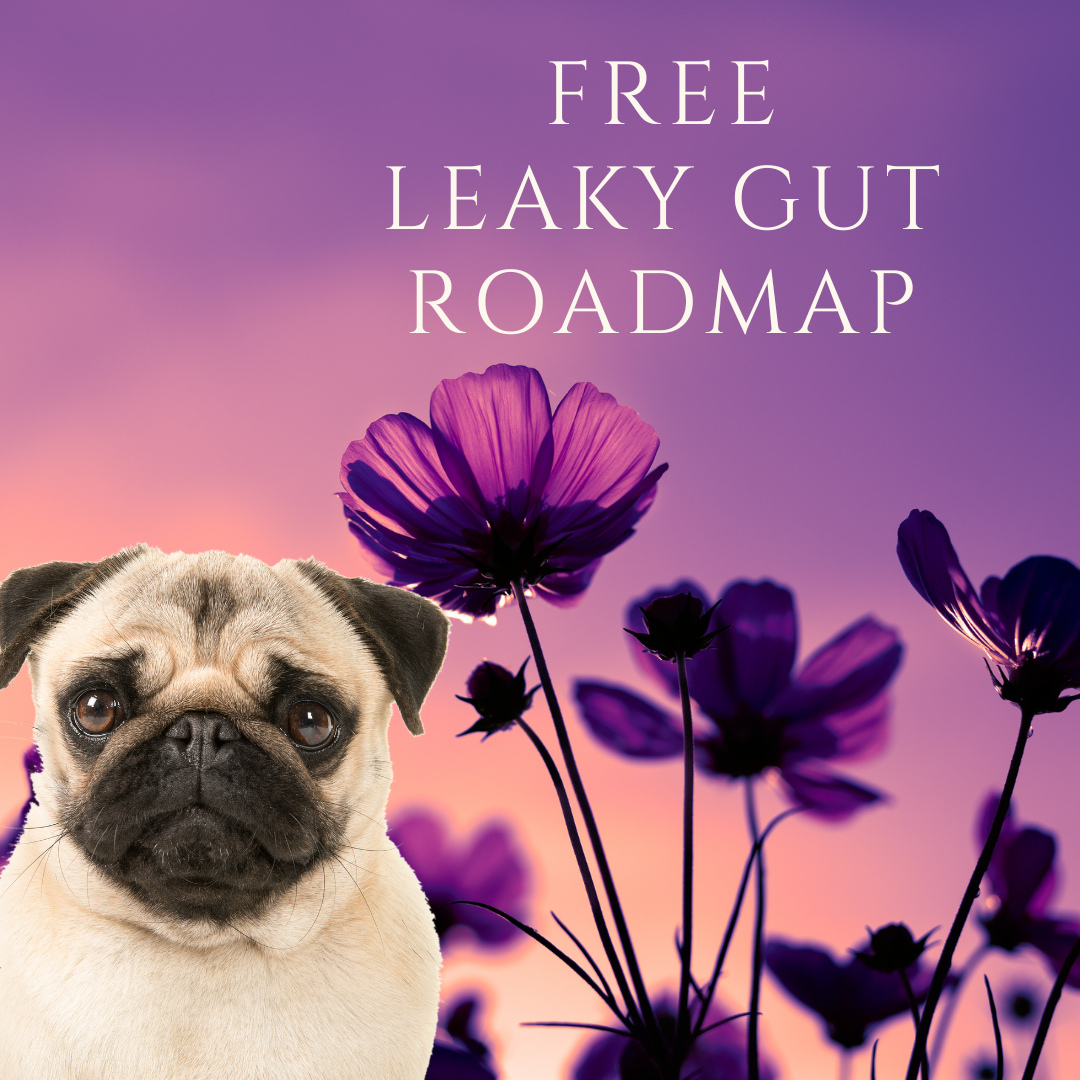 x1. Courses - Leaky Gut Roadmap Class