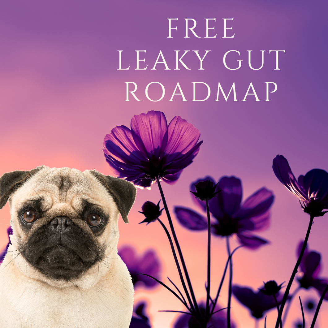 FREE Leaky Gut Roadmap Class