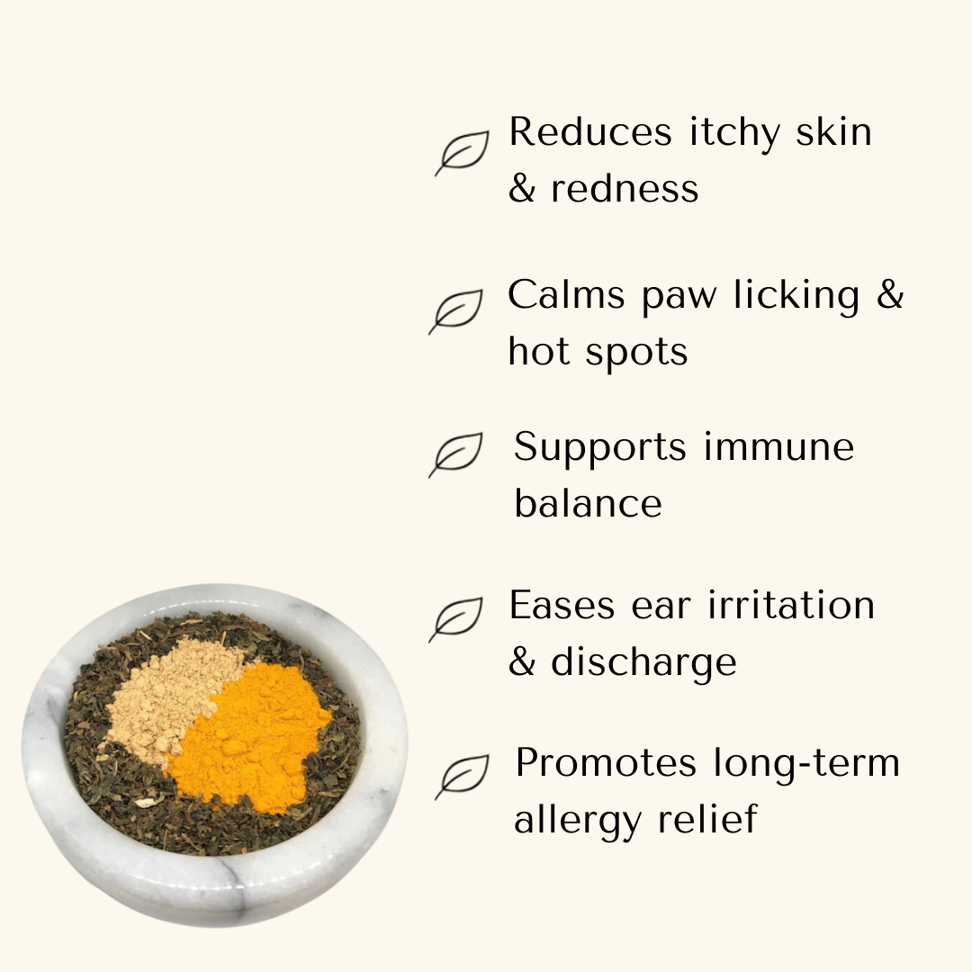 Allergy Support — Allergy Relief Powder for Dogs & Cats