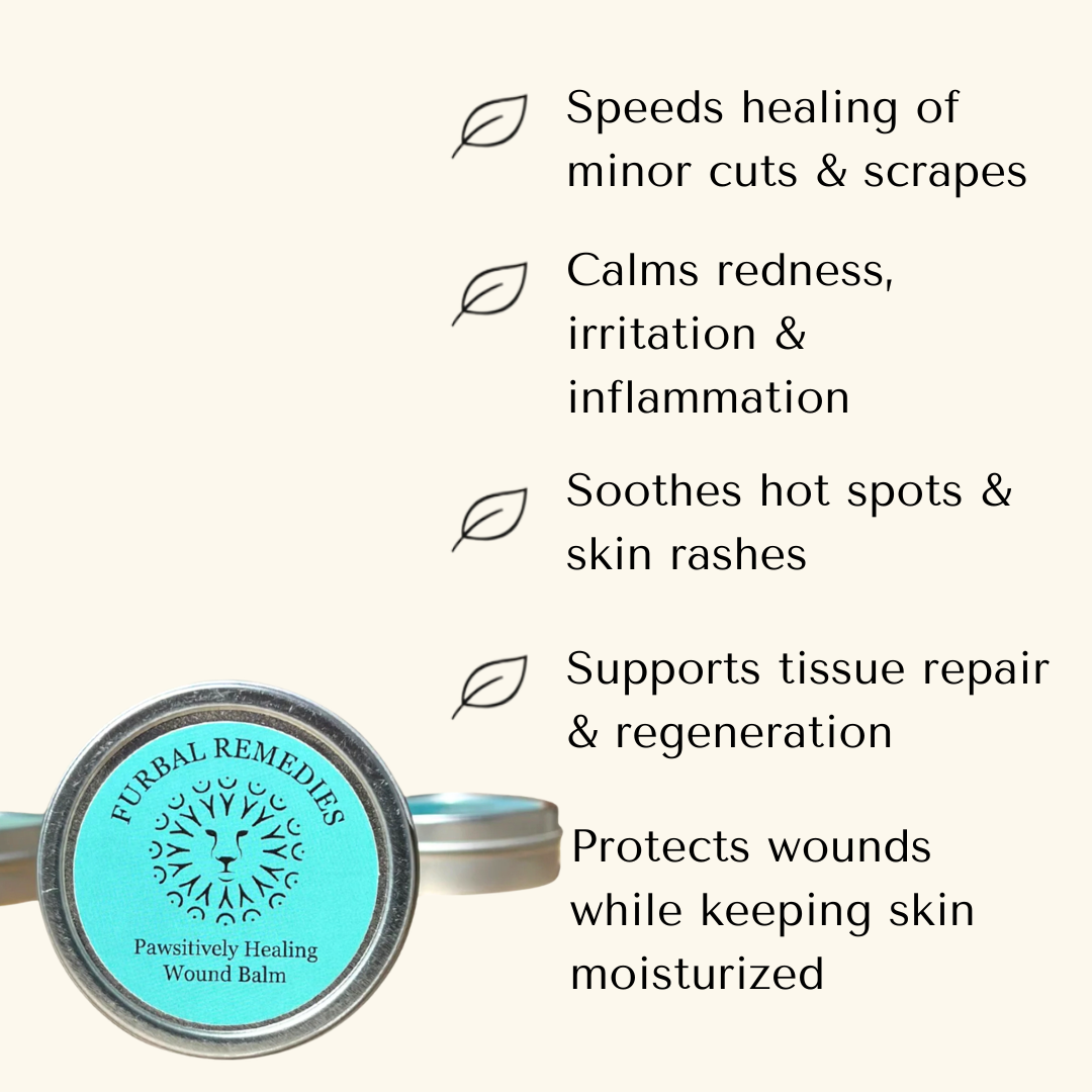 Topical Care - Pawsitively Healing Wound Balm - Canine & Feline First Aid