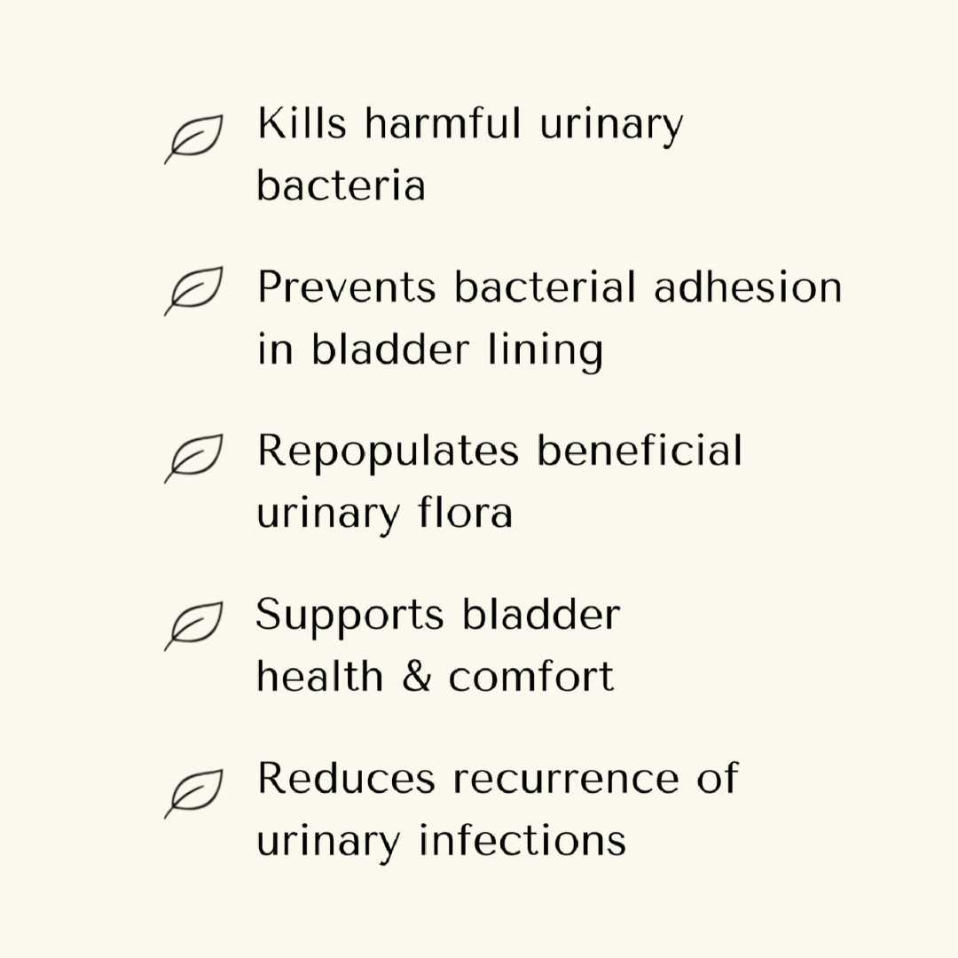 Urinary Health Support for Dogs - UTI Destroyer Bundle