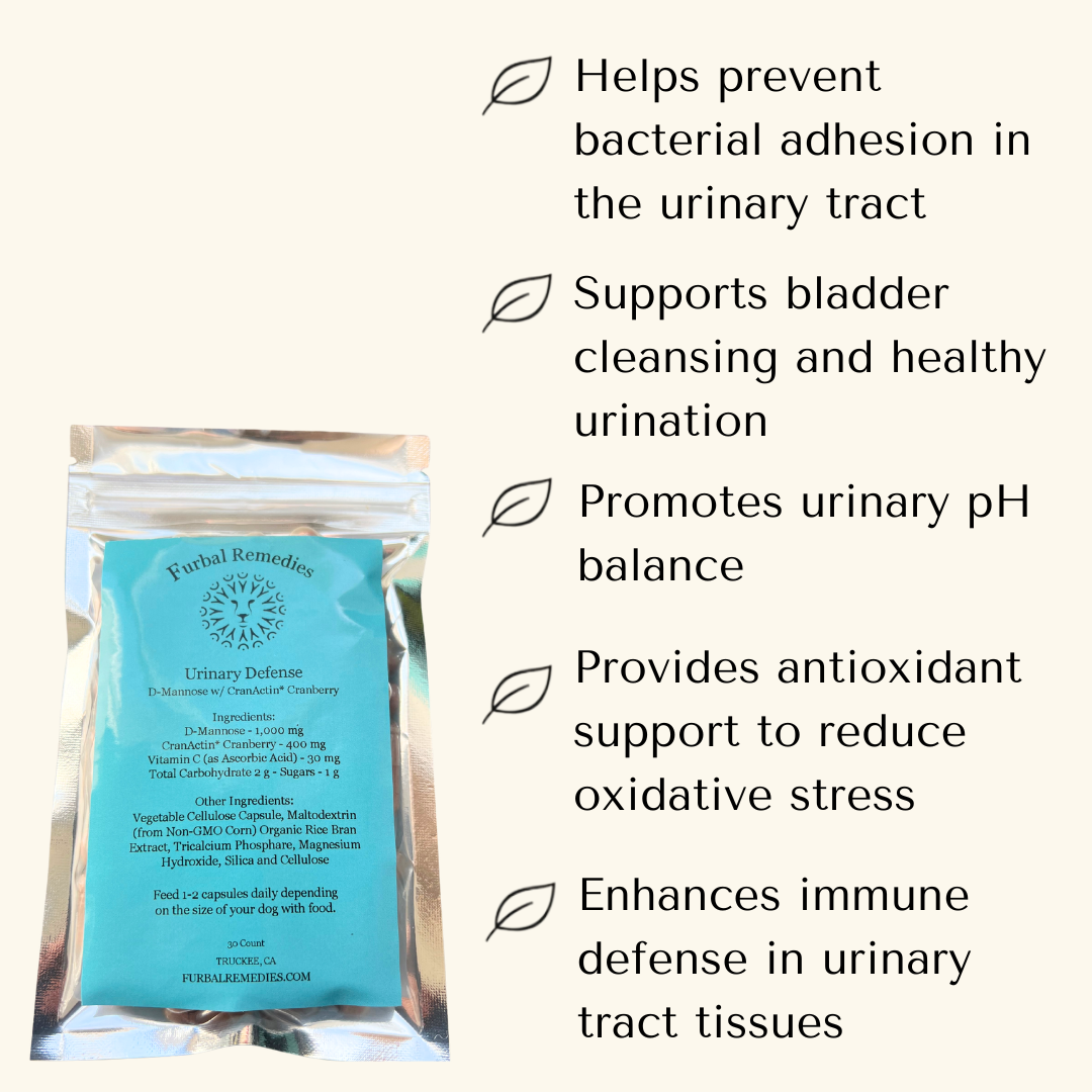 Urinary Support — Urinary Defense Capsules for Dogs & Cats