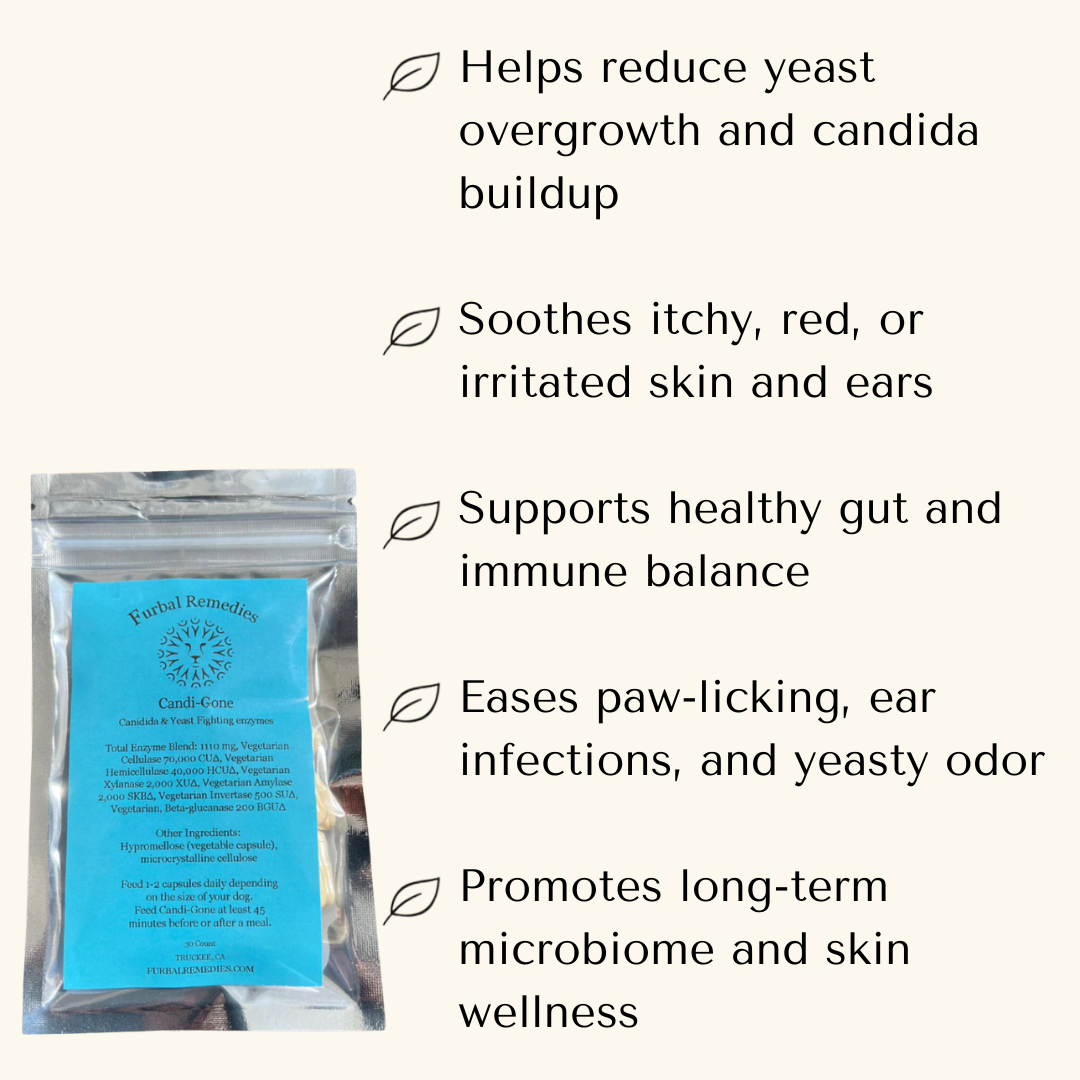 Digestive Support — Candi-Gone Enzyme Supplement for Dogs & Cats