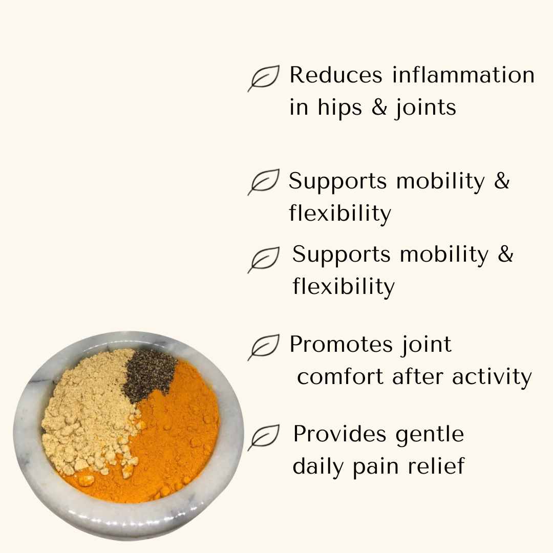 Joint Support — Ginger Joint Powder for Dogs & Cats