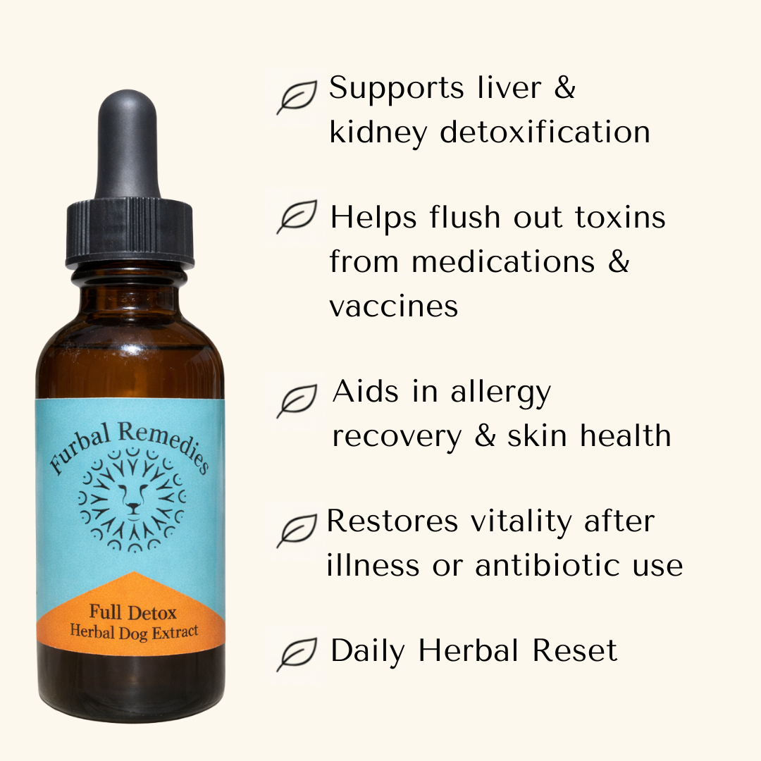 Liver Support - Full Detox Extract - Canine & Feline Supplement