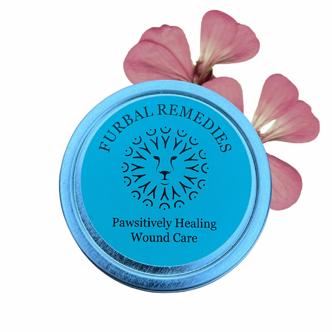 Pawsitively Healing Wound Balm