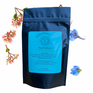 Pup Probiotic