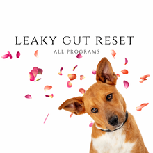 Load image into Gallery viewer, Leaky Gut Reset - healing your dog&#39;s digestive intolerances
