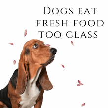 Load image into Gallery viewer, Dogs Eat Fresh Food Too Class
