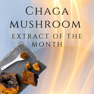 Canine extract of the month - Chaga Mushroom