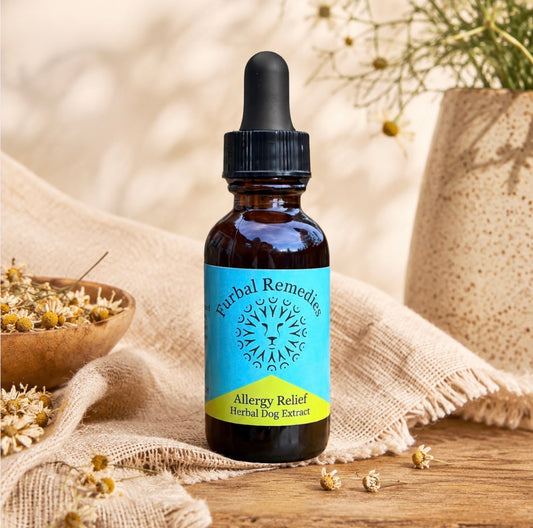Allergy Relief — Allergy Relief Extract for Dogs | Itchy Skin & Seasonal Allergy Support