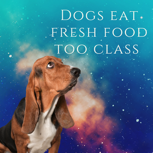 Dogs Eat Fresh Food Too Class