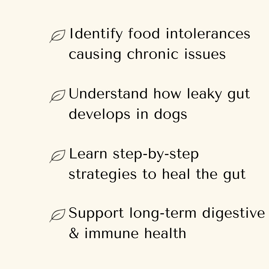 Digestive Intolerance Course - The Gut Healing Method