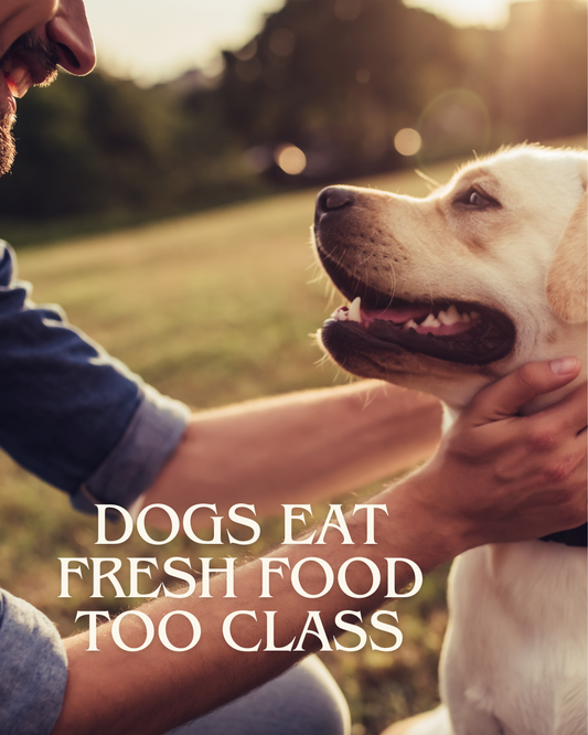 x4. Courses - Dogs Eat Fresh Food Too Class