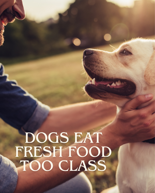 Safe fresh foods for dogs video guide — $29.99 reference on fruits, veggies, proteins, and herbs dogs can safely eat.