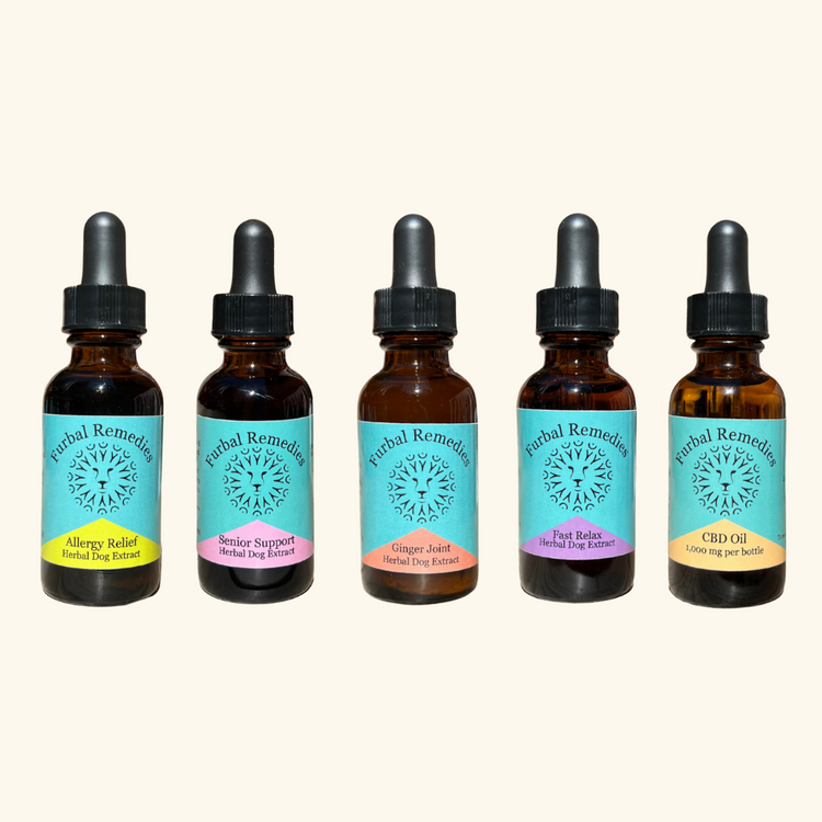 Stunning Cat Anxiety Natural Relief Herbs image
