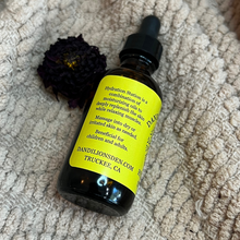 Load image into Gallery viewer, Hydration Station Body Oil - For Humans
