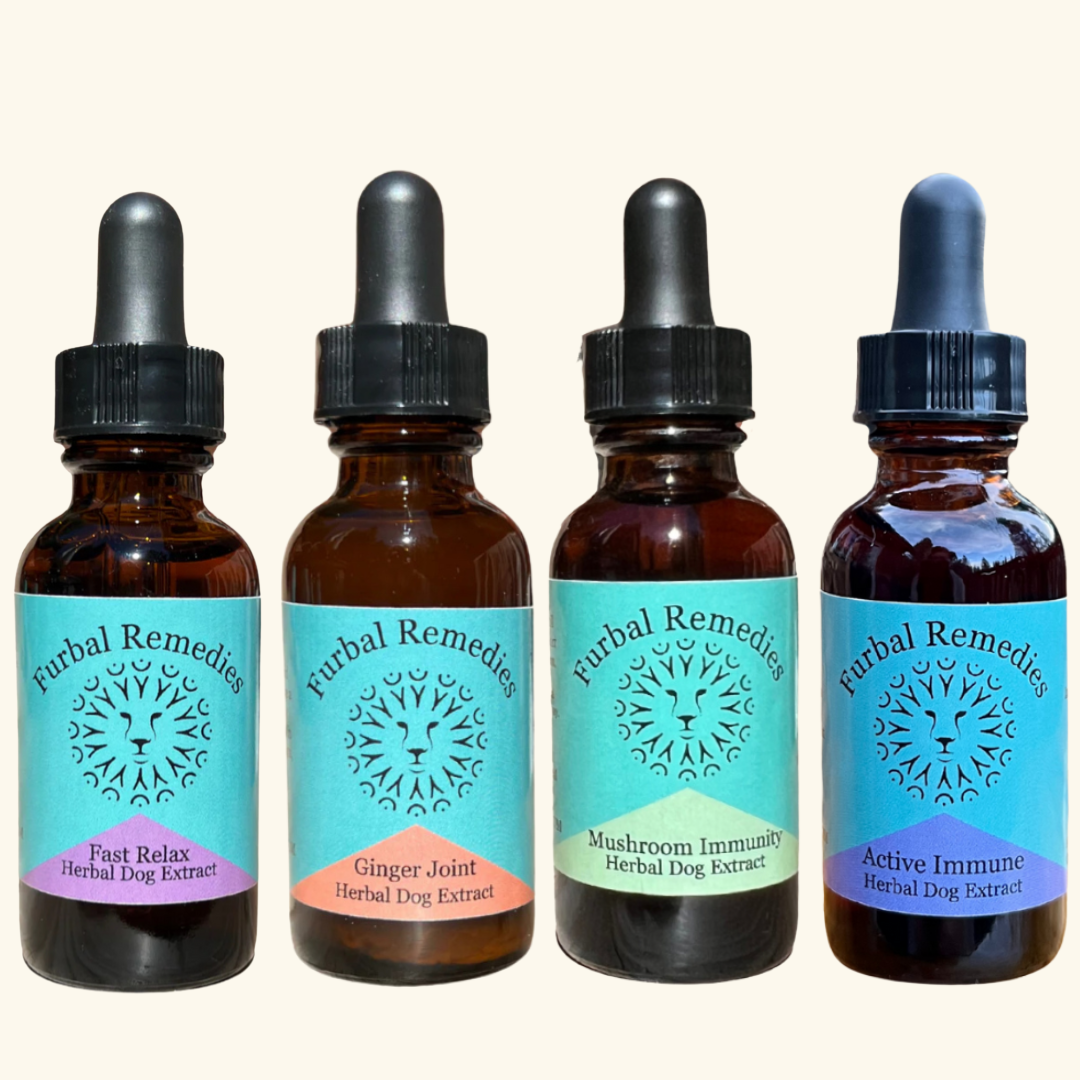 Black Friday Pet Wellness Bundle – Calm, Joint & Immune Support for Dogs