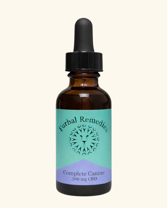 Dense Nutrition - Optimal Wellness — Complete Canine Plus+ CBD Extract for Dogs | Herbal Multivitamin & Whole-Body Support