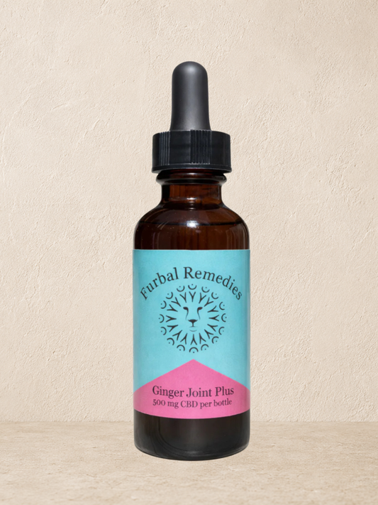 Joint Support — Ginger Joint Plus+ CBD Extract for Dogs & Cats