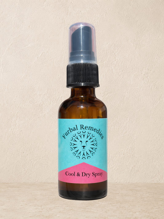 First Aid - Cool & Dry Spray for Dogs & Cats