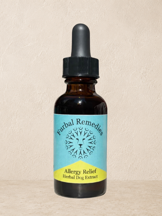 Allergy Relief — Allergy Relief Extract for Dogs | Itchy Skin & Seasonal Allergy Support