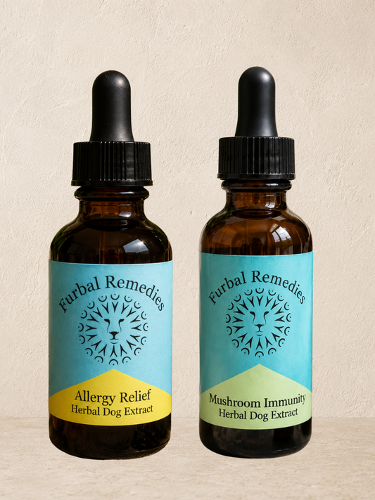 Allergy Relief Bundle — Relief & Immune Support Combo for Dogs & Cats