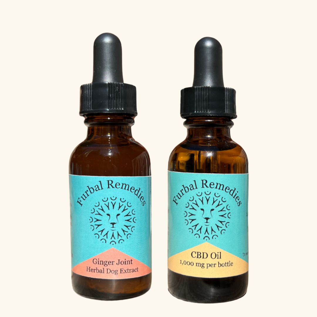 Joint Support — Recover Duo Bundle (Ginger Joint + CBD Oil) for Dogs and Cats
