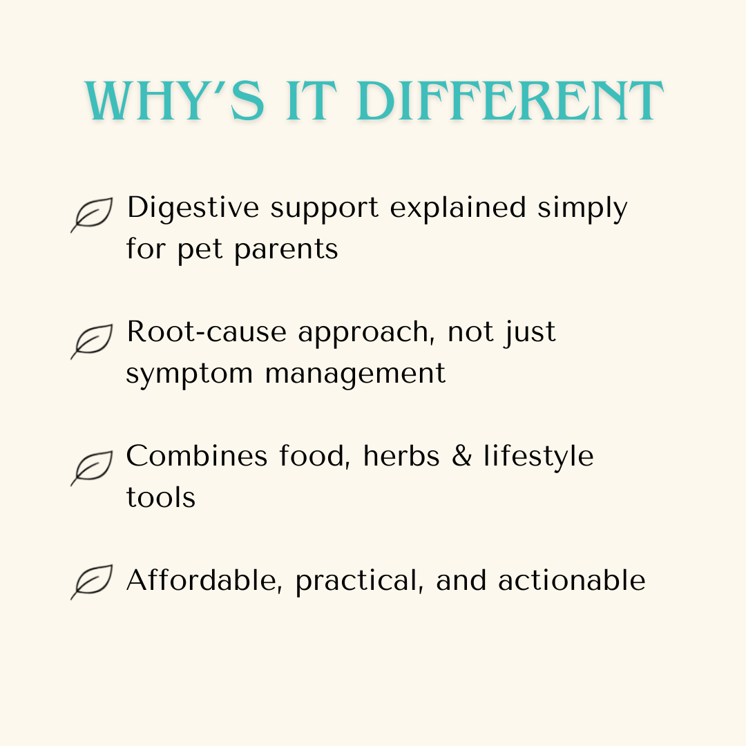 Digestive Intolerance Course - The Gut Healing Method
