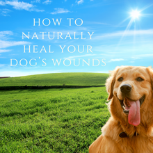 Load image into Gallery viewer, x. How To Naturally Heal Your Dogs Wounds - Download
