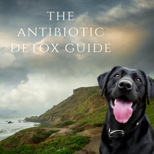 x. The Antibiotics Detox Guide - Download