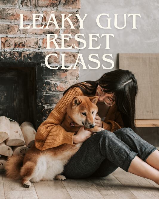 Digestive Intolerance Course — Leaky Gut Reset for Dogs